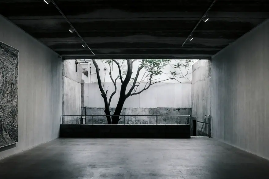 Sala ampla de concreto com uma grande abertura para um pátio com uma árvore.