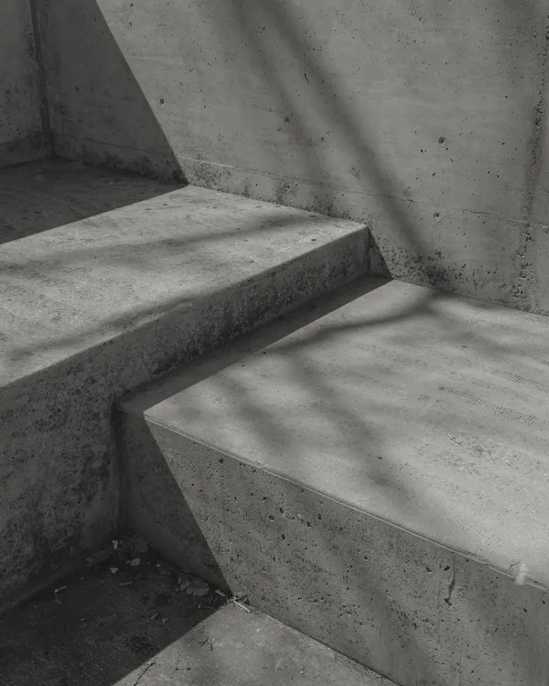 Degraus de concreto com sombras de galhos projetadas, em preto e branco.